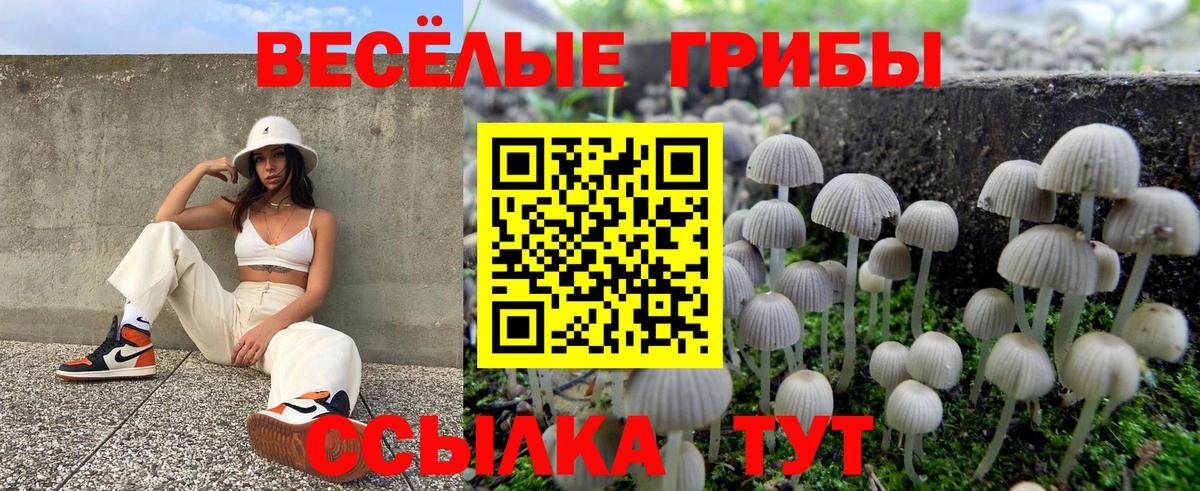 Галлюциногенные грибы Magic Shrooms  Малоярославец  Галлюциногенные грибы GOLDEN TEACHER 