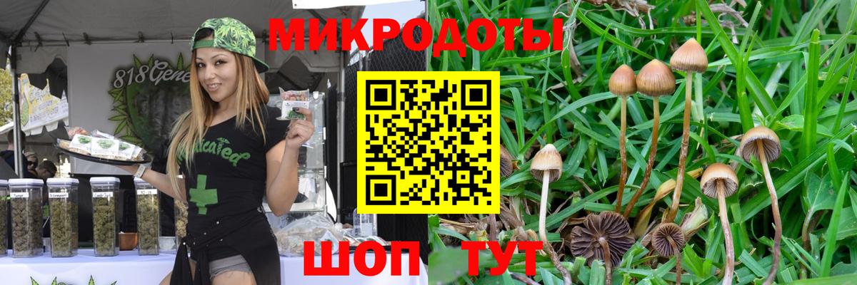 Галлюциногенные грибы прущие грибы Малоярославец